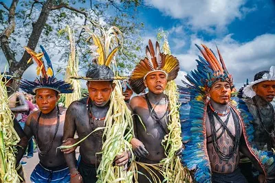 54462080464_b001165d83_w