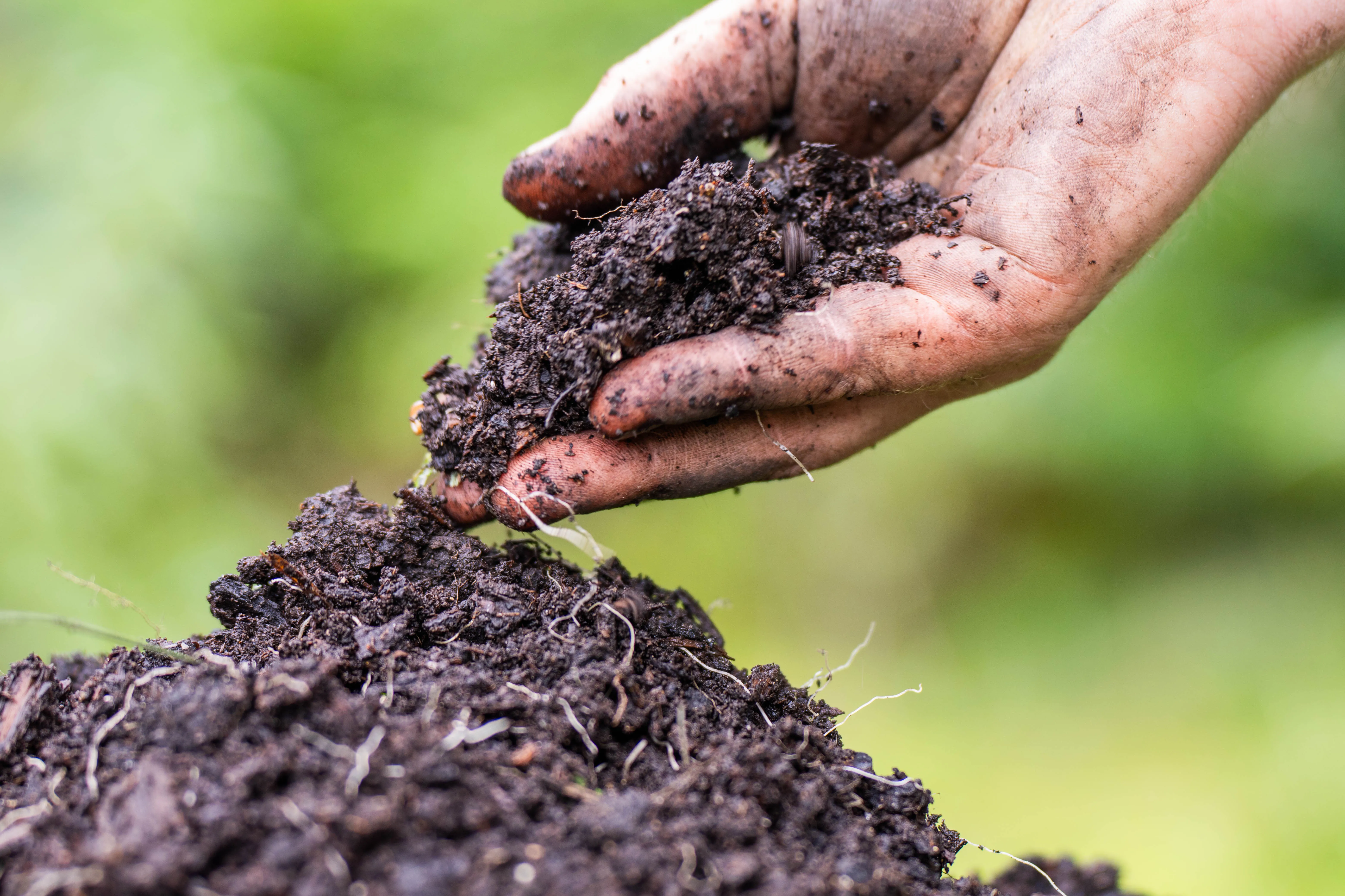 Solo_AdobeStock_832229666