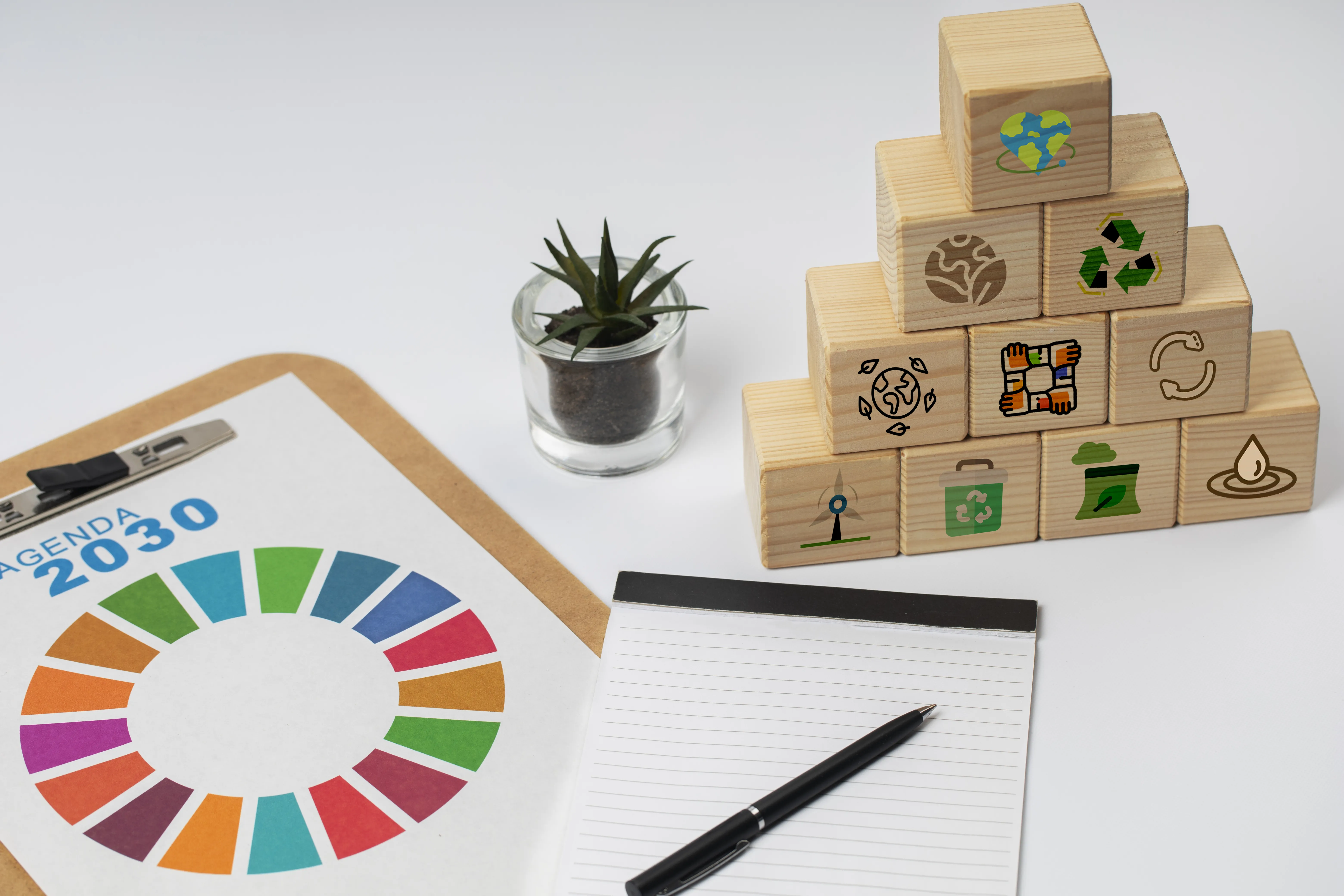 objetivos-de-desenvolvimento-sustentavel-natureza-morta